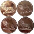 Set com 4 moedas  - Congo - RDC - 2004 - Comemorativa