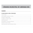 CÂMARA MUNICIPAL DE UBERABA - MG - AGENTE ADMINISTRATIVO 2025