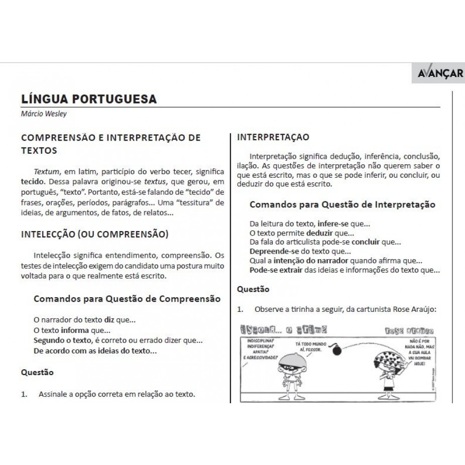 Provimento Efetivo Concursos - Apostila SEPLAG IAPEN AC ADVOGADO Prova 2021