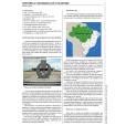 Prefeitura de Palmas TO - Administrador: E-BOOK - Liberação Imediata