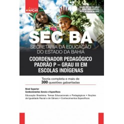 SEC BA - Secretaria de Educação da Bahia - Coordenador Pedagógico Padrão P/Grau III  em Escolas Indígenas - E-BOOK - Liberação Imediata