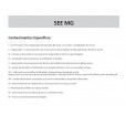 SEE MG 2025 - Analista de Educação Básica (AEB): ASSISTENTE SOCIAL