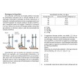 SEE MG - Professor de Educação Básica - PEB - QUÍMICA: E-BOOK - Liberação Imediata