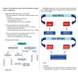 SESAB BA 2025 - FARMACÊUTICO BIOQUÍMICO