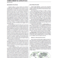 SME MAGÉ RJ 2025 - PROFESSOR I - GEOGRAFIA